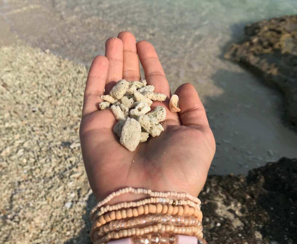 ساحل مرجان کیش