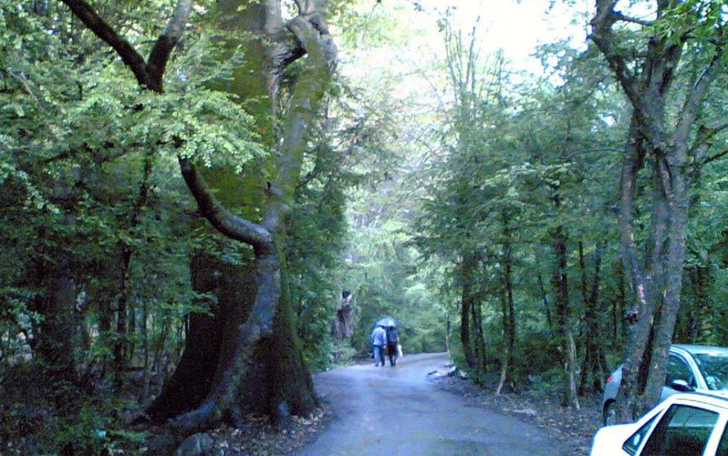 سیسنگان نوشهر