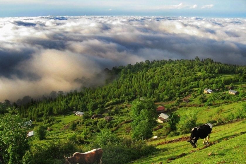 راهنمای سفر به کلاردشت