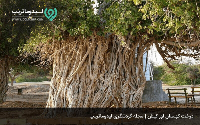 برنامه ریزی برای سفر 4 روزه در کیش