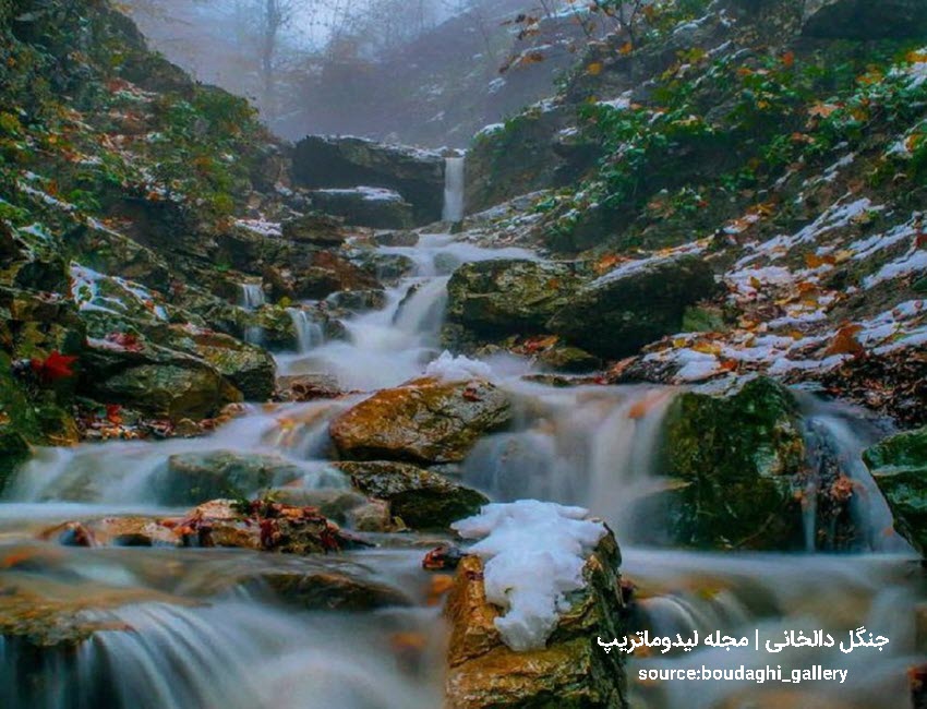 جنگل دالخانی از گرمترین شهرهای شمالی در زمستان
