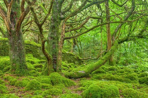 راهنمای سفر یک روزه و دو روزه به شمال