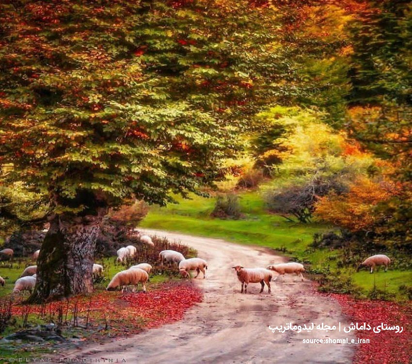 داماش از مناطق بکر شمال