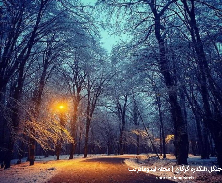 جنگل النگدره از گرمترین شهرهای شمال ایران