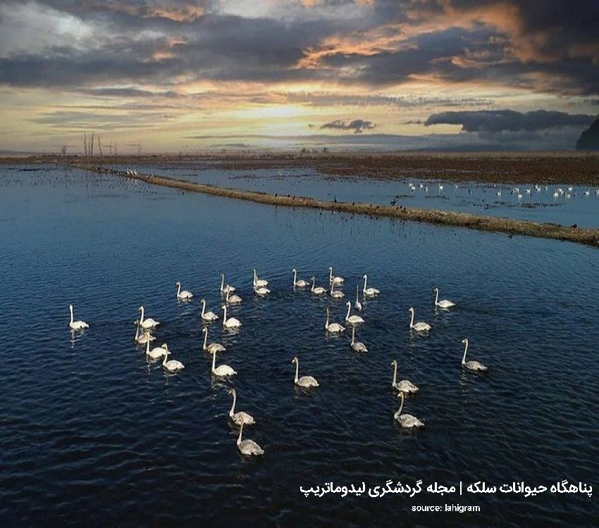 پناهگاه حیاتوحش سلکه از مناطق بکر