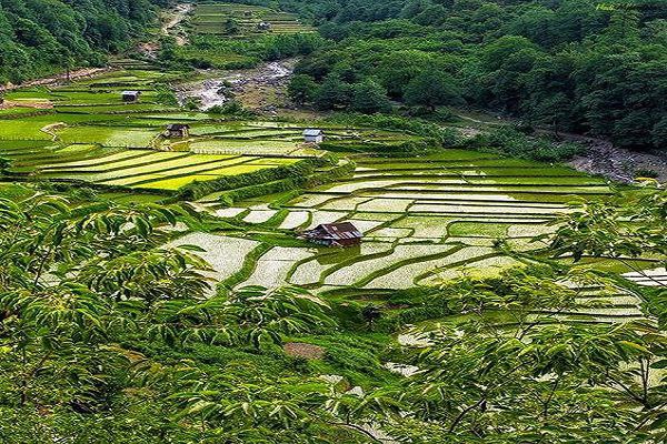 ارزشیابی ملک برای کار و زندگی در شمال