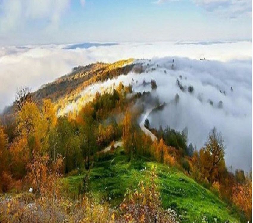 جنگل های مازندران در شمال