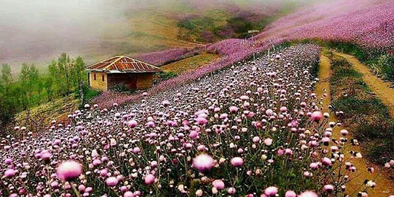 انتخاب بهترین آب و هوای ماسال برای سفری دلچسب!