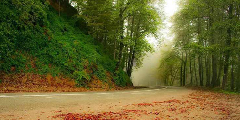 نقشه گردشگری رامسر-جنگل-دالخانی