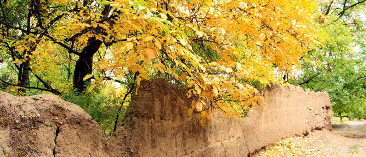 دیدنی های کردان