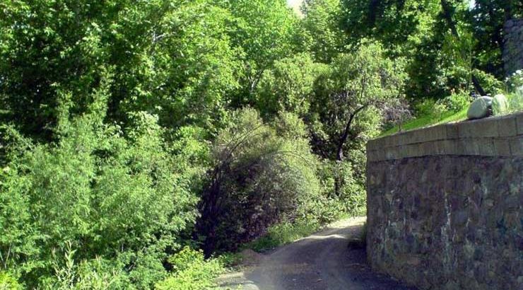 روستای کردان