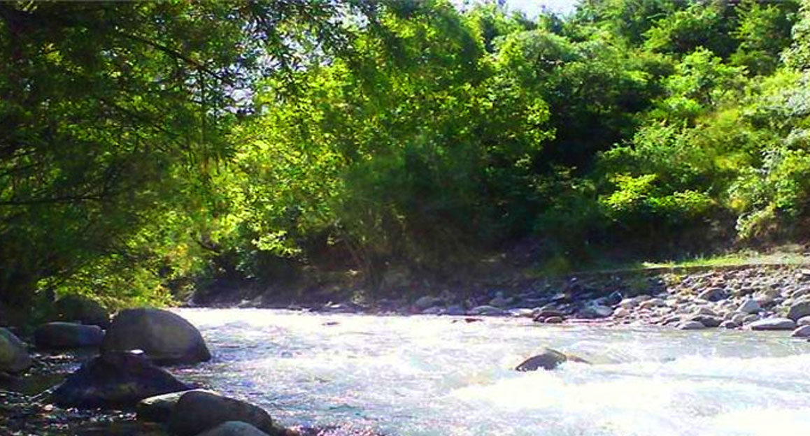روستای کردان