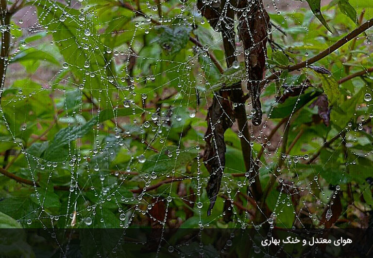 آب-و-هوای-ماسال-در-چهار-فصل-سال-چگونه-است؟