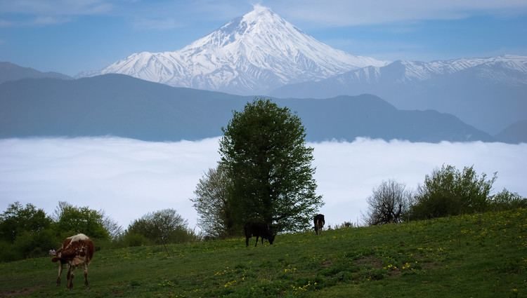 الیمستان
