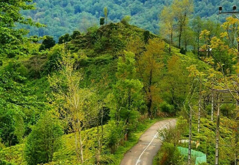 بررسی-گام-به-گام-سبک-زندگی-در-ماسال