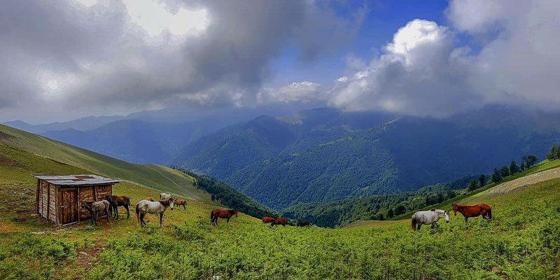 بررسی گام به گام سبک زندگی در ماسال