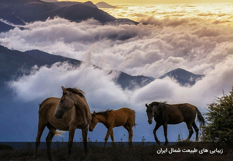 بهترین-فصل-برای-ییلاق-اولسبلانگاه