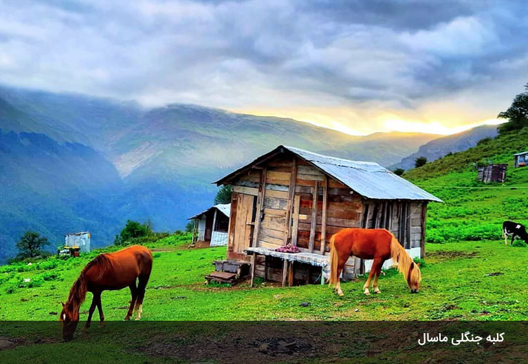 توصیف-یک-تجربه-عالی-از-اقامت-در-کلبه‌-جنگلی-ماسال