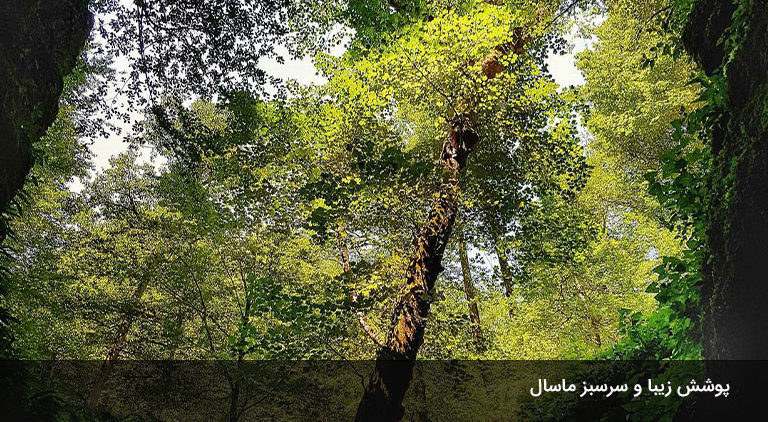 جغرافیای-ارتفاعات-ماسال