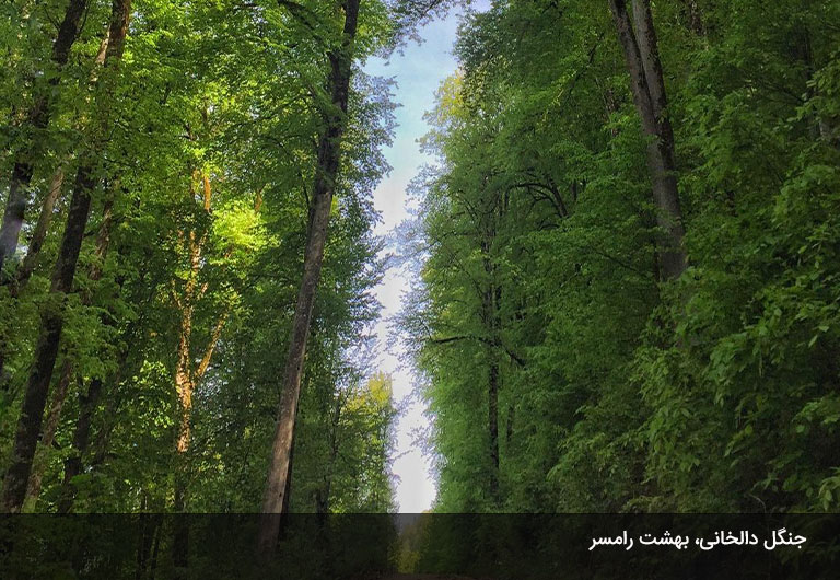 جنگل-دالخانی-رامسر؛-دالان-بهشت،-یکی-از-پارک-های-جنگلی-اطراف-رامسر