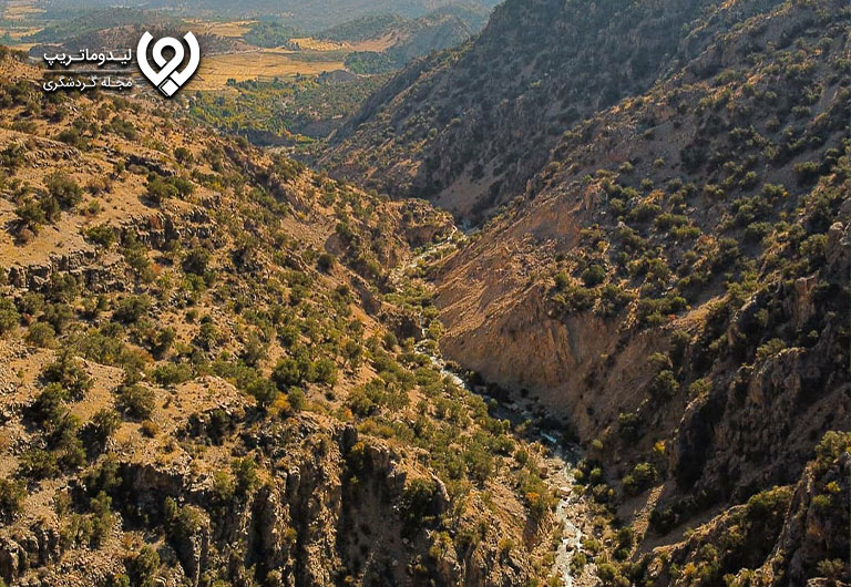 جنگل-کوهمره-سرخی-شیراز