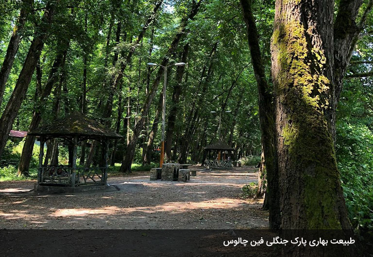 در-ماه-اردیبهشت-به-پارک-جنگلی-فین-چالوس-بروید!