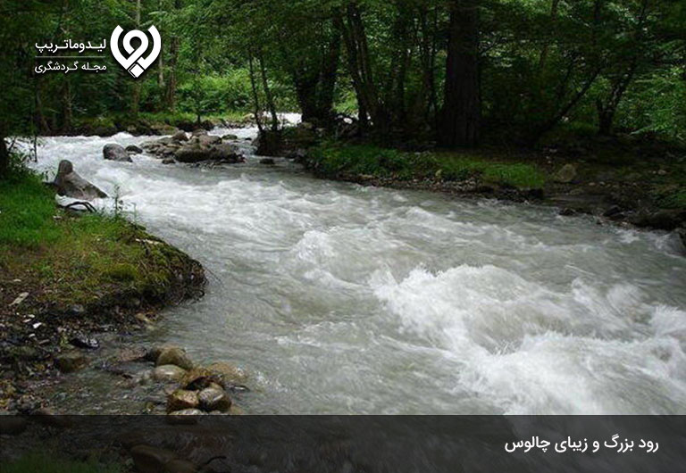 رود-چالوس،-باشکوه-و-زندگی-بخش