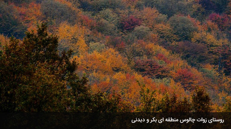 روستای-زوات-چالوس،-کجاست؟