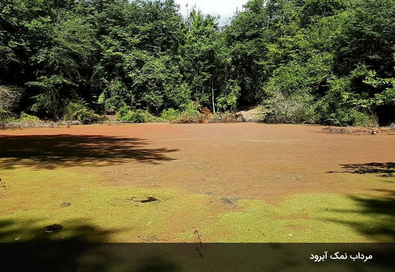 ساحل-نمک-آبرود،-هیجان‌انگیزترین-ساحل-چالوس