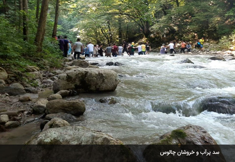 سد-روستای-زوات-چالوس،-زندگی-بخش-جنگل