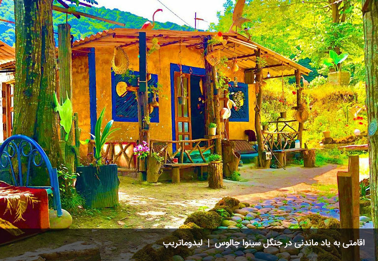 شب-کجا-بمانیم؟-جنگل-سینوا-چالوس