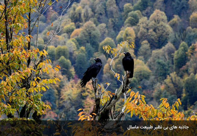 شهر-ماسال-گیلان