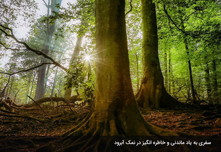 فاصله-چالوس-تا-دریا؛-تفرجگاه-نمک-آبرود