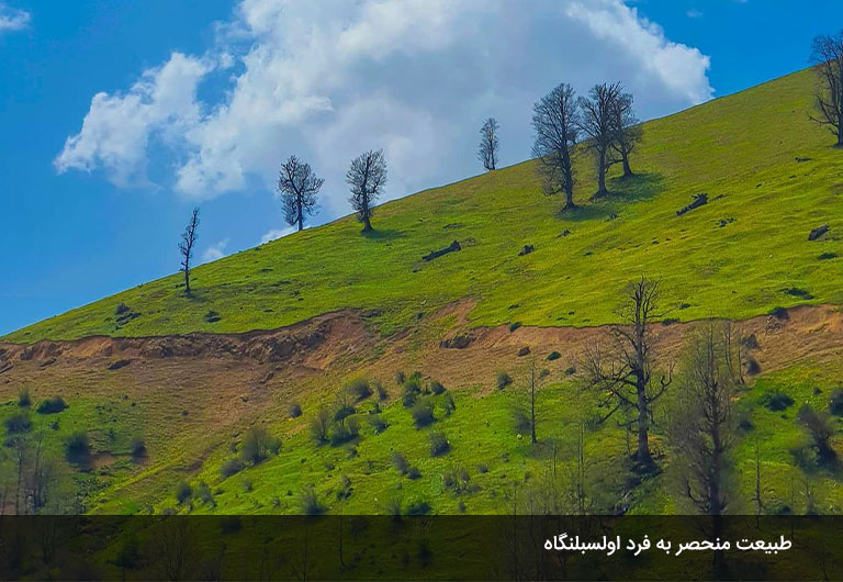 محصولات-یا-سوغات-روستای-اولسبلنگاه