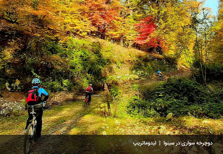 مسیر-دوچرخه-سواری-جنگل-سینوا-جنگل-سینوا-چالوس
