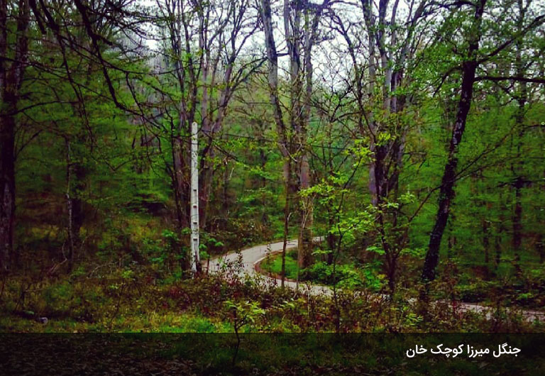 مکان‌های-تاریخی-در-شهر-ماسال