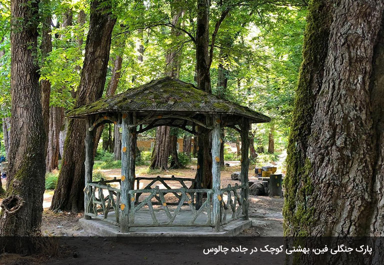 پارک-جنگلی-فین-چالوس،-تو-را-میخواند!