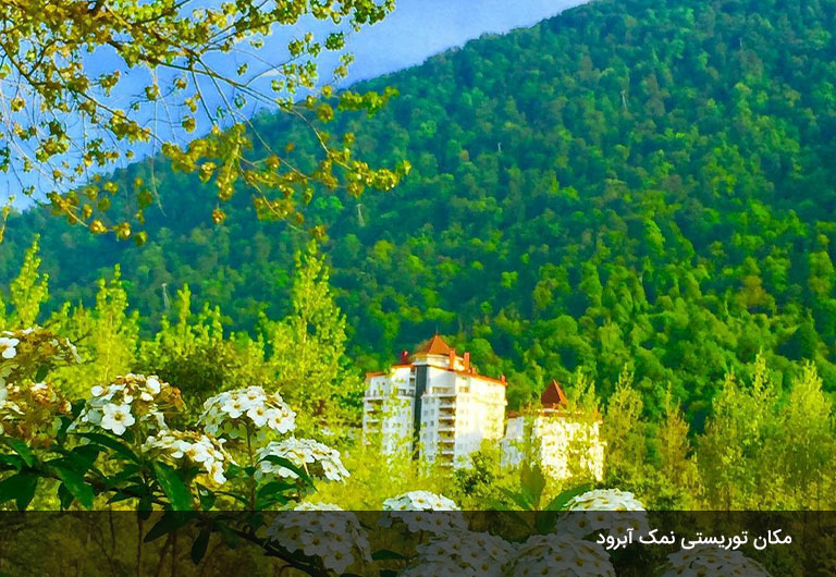 پارک-جنگلی-نمک-آبرود،-یک-تجربه-فراموش-نشدنی