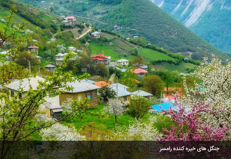 پارک-های-جنگلی-اطراف-رامسر-و-لمس-زیبایی-طبیعت