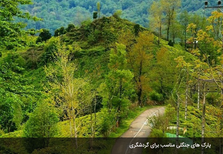 پارک‌های-جنگلی-ماسال