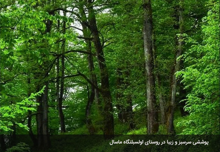 پوشش-گیاهی-و-حیوانی-روستای-اولسبلنگاه