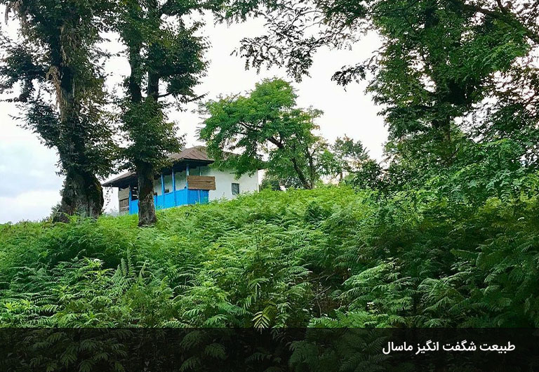 چطور-میتوانیم-به-ماسال-برویم؟