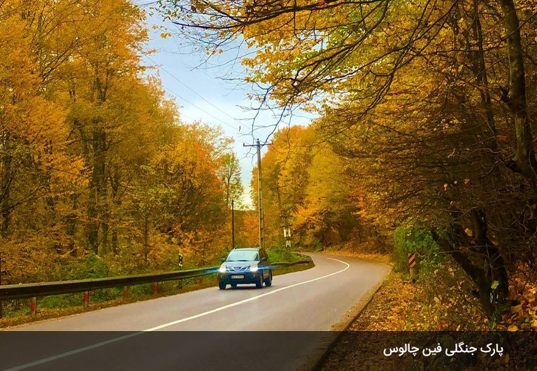 چیز‌هایی-که-پارک-جنگلی-فین-چالوس-را-محبوب-می‌کند!
