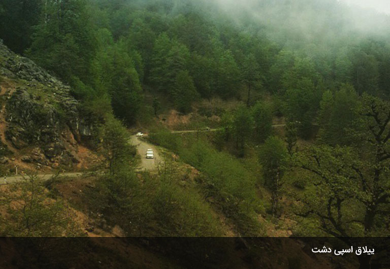 ییلاق-اسپی-دشت،-یکی-از-محبوب‌ترین-ییلاق-های-ماسال