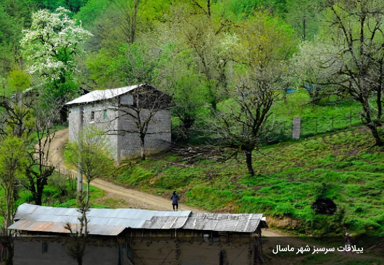 ییلاق‌ها-و-دشت‌های-شهر-ماسال