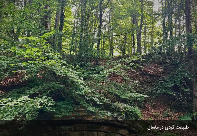 ییلاق‌های-نقشه-گردشگری-ماسال