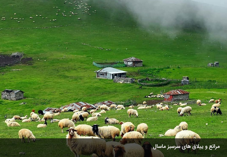 ییلاق‌های-نقشه-گردشگری-ماسال