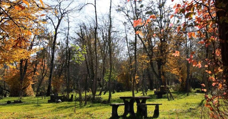  طبیعت بندر نوشهر راهنمای سفر به نوشهر