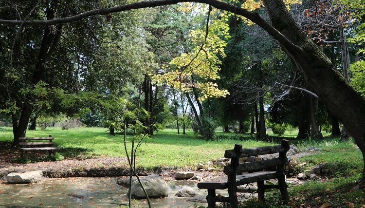 باغ گیاه شناسی نوشهر راهنمای سفر به نوشهر