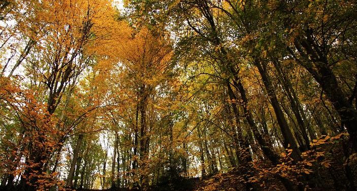 راهنمای سفر به نوشهر
